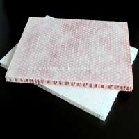 non-toxic white color regular polypropylene honeycomb core panel for building material made in china